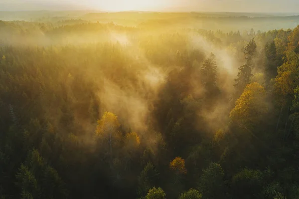 Alba Colorata Con Nebbia Sopra Foresta Durante Autunno Catturata Dall — Foto Stock