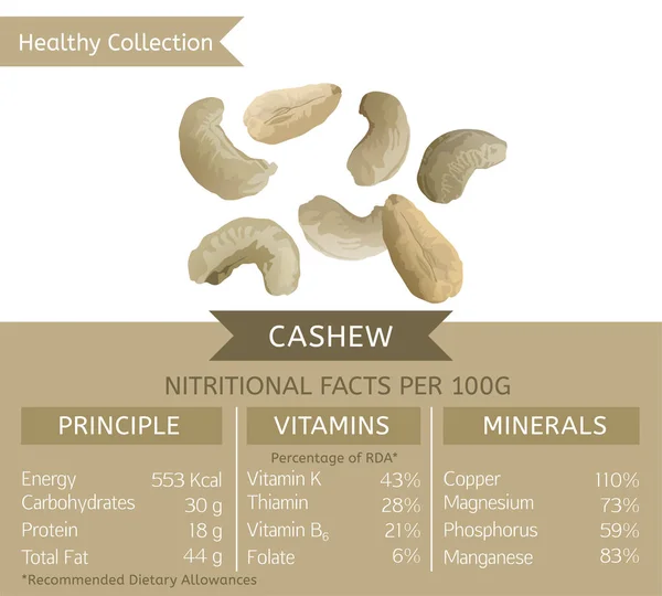 Friska samling Cashew — Stock vektor