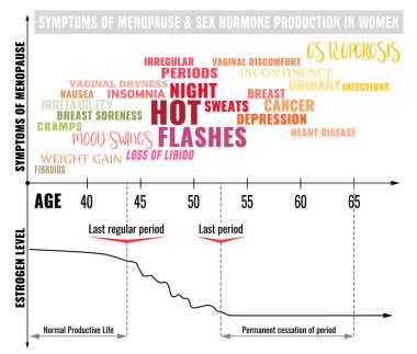 Menopoz Infographic aşamaları