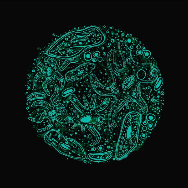 จุลินทรีย์ ภาพวาดด้วยมือ — ภาพเวกเตอร์สต็อก
