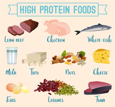 Yüksek protein gıdalar seti