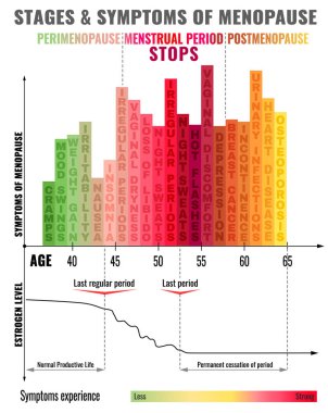 Menopoz Infographic aşamaları