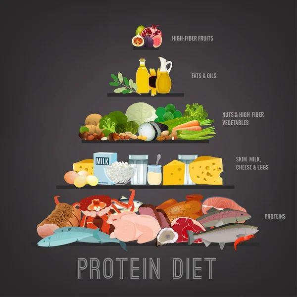 Вертикальний плакат білкової дієти — стоковий вектор