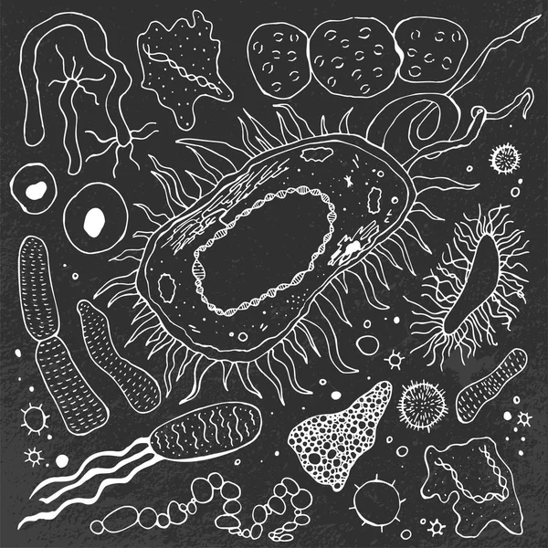 Bacterias imagen dibujada a mano — Vector de stock