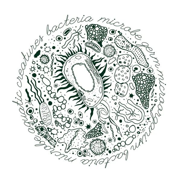 Bacterias imagen dibujada a mano — Vector de stock