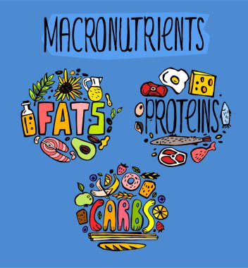 Carbohydrates, fats and proteins  clipart