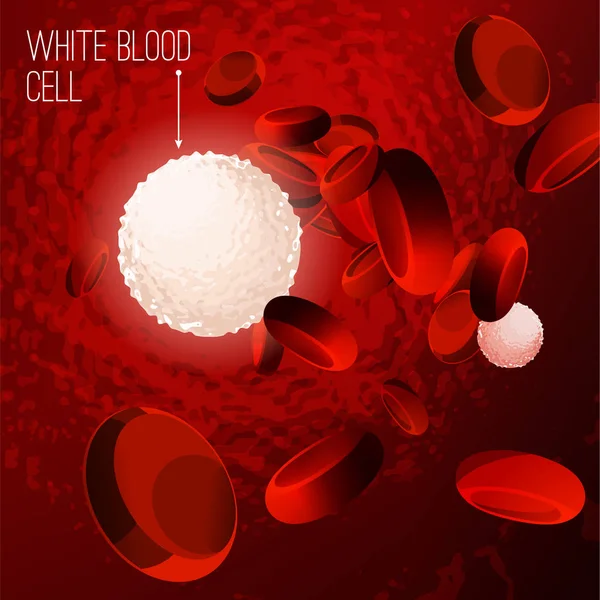 Blood Cells Background — Stock Vector