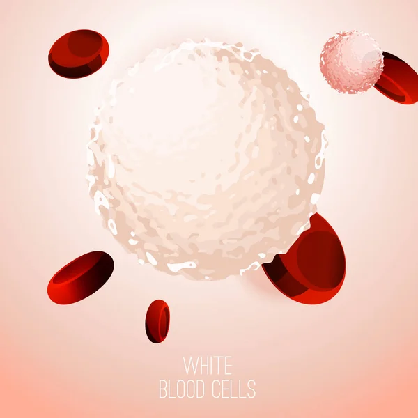 Achtergrond van de cellen van het bloed — Stockvector