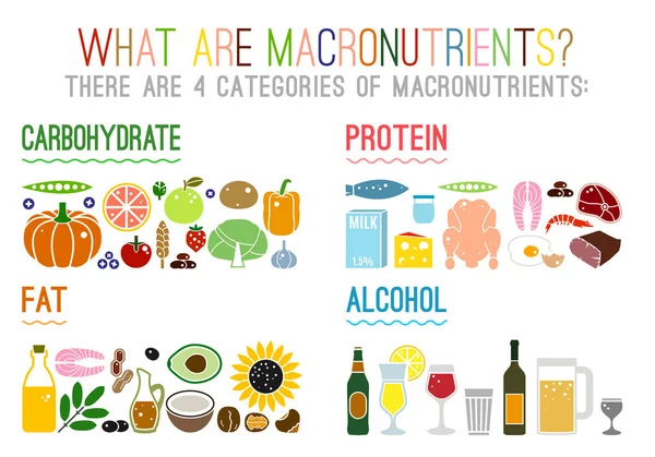 Principaux groupes alimentaires macronutriments — Image vectorielle