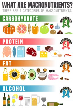 Ana gıda grupları macronutrients