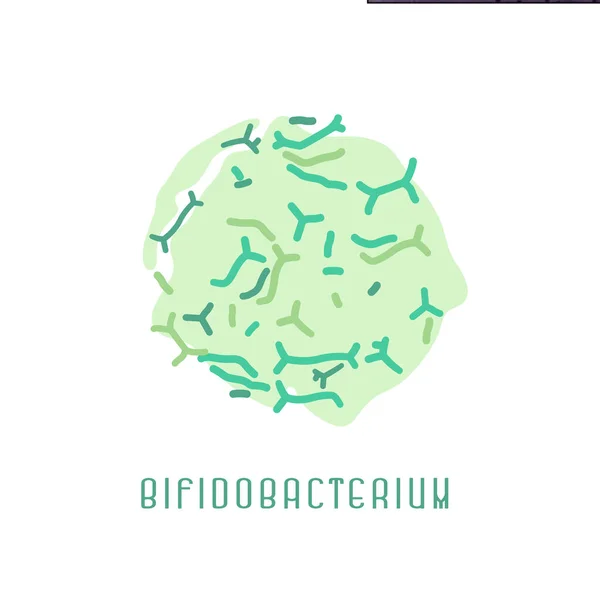 Imagen de la colonia de bifidobacterias — Vector de stock