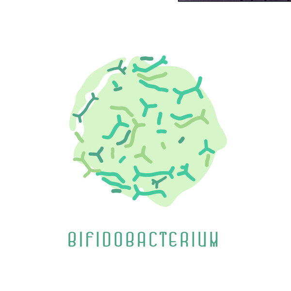 Образ колонии бифидобактерий
