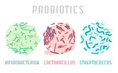 actobacillus, bifidobacterium, streptokok
