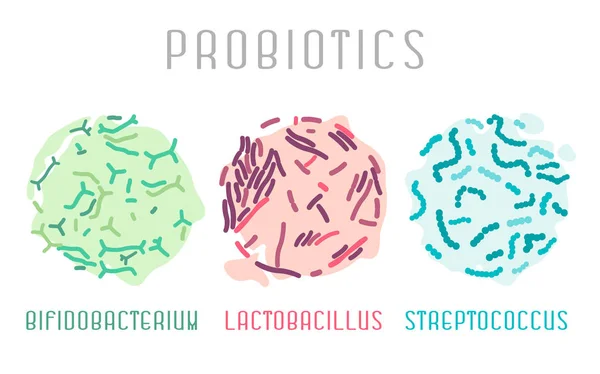 Actobacilo, bifidobacterias, estreptococo — Vector de stock