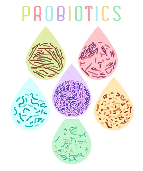 Probiotics 종류 포스터 — 스톡 벡터