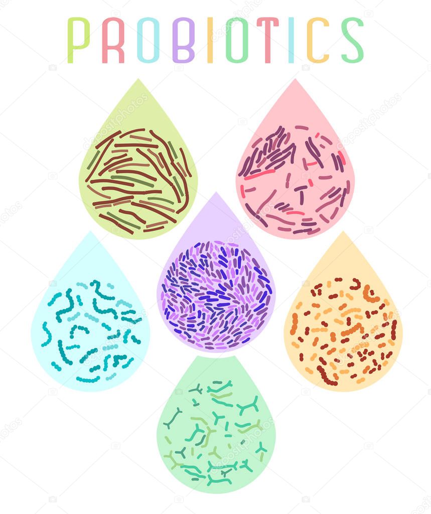 Probiotics Types Poster