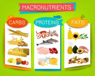 Ana besin grupları - macronutrients. Karbonhidratlar, yağlar ve proteinler arasında karşılaştırma. Diyet, sağlık ve eutrophy kavramı. Vektör çizim parlak bir arka plan üzerinde izole. Manzara poster.