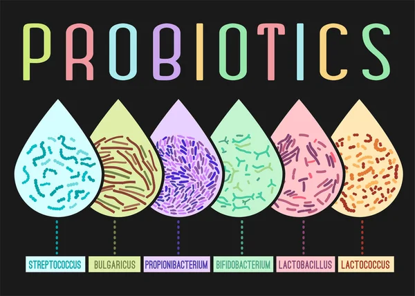 Tipos de probióticos Poster — Vector de stock