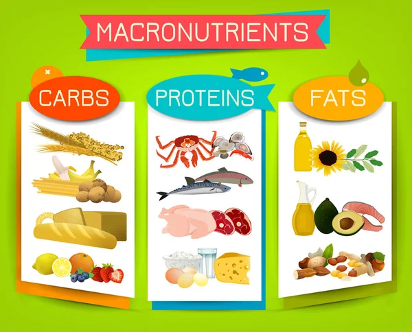Voornaamste Voedselgroepen Macronutriënten Koolhydraten Vetten Eiwitten Vergelijking Dieting Gezondheidszorg Eutrophy — Stockvector