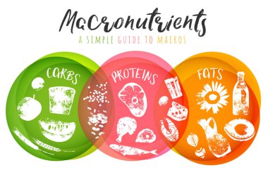 Ana gıda grupları macronutrients
