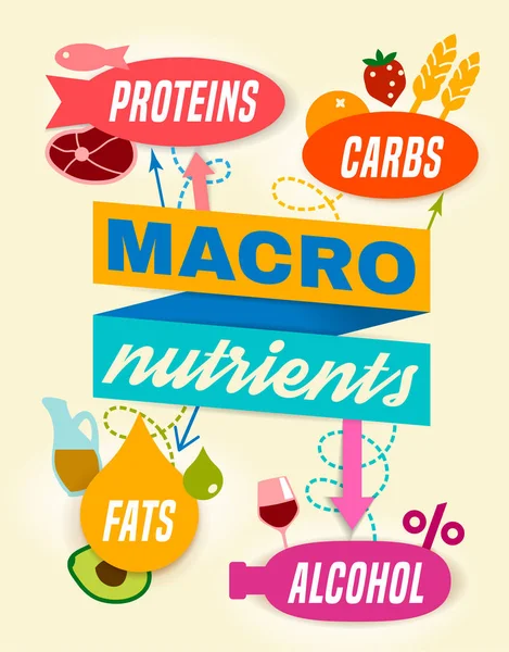 Macronutrients manzara poster — Stok Vektör