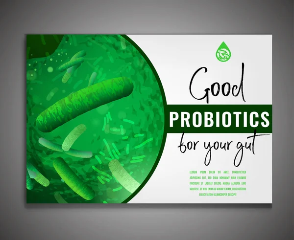 Lactobacillus probiyotikler Poster — Stok Vektör
