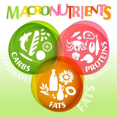 Ana gıda grupları macronutrients