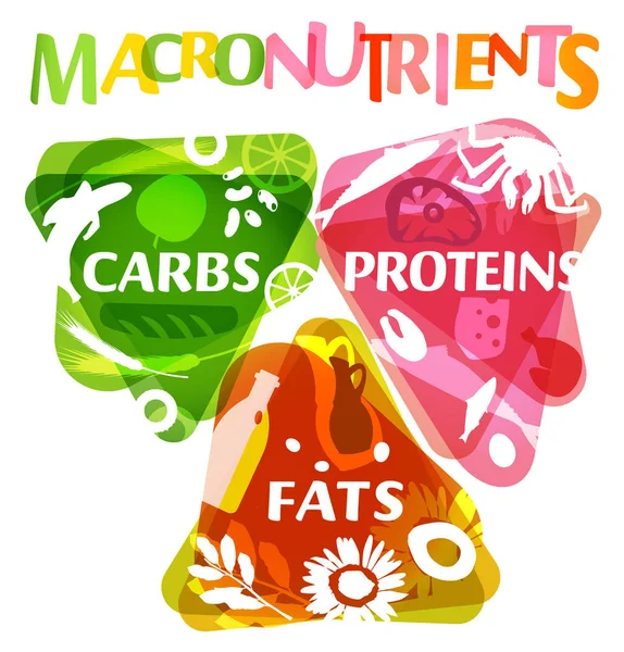 Ana besin grubu - macronutrients — Stok Vektör