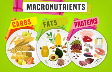 Macronutrients ana besin grupları