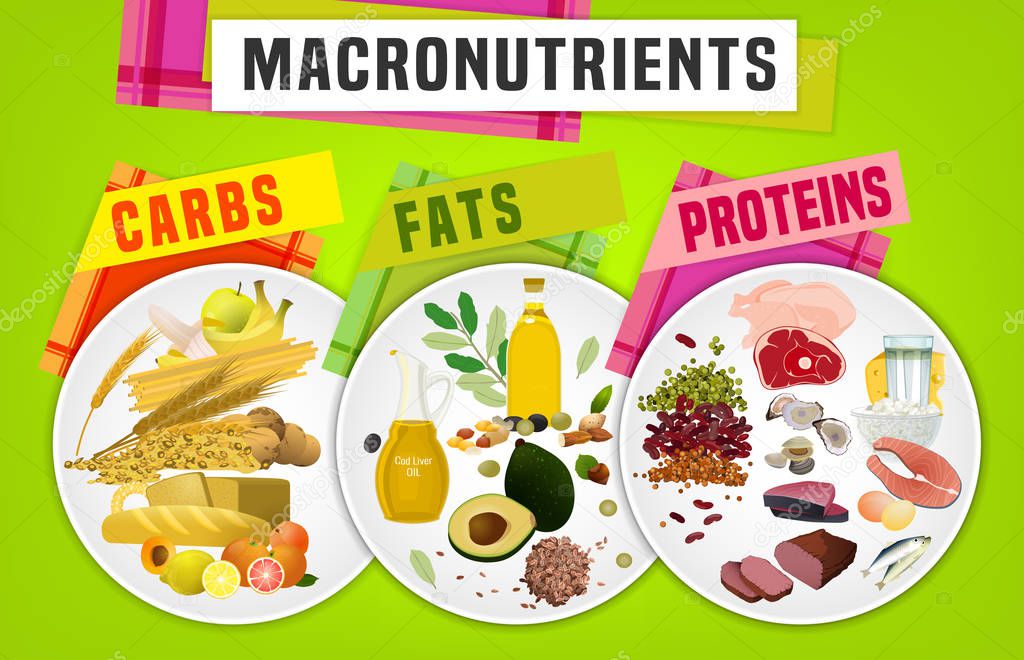 Macronutrients Main food groups