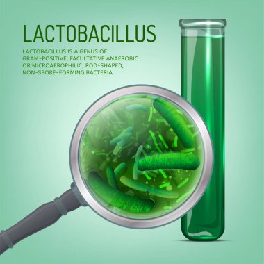 Lactobacillus probiotics image clipart