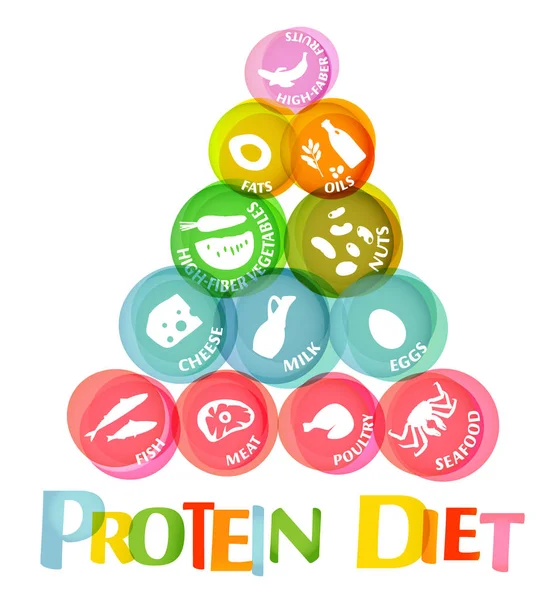 Protein Diet Chart — Stock Vector