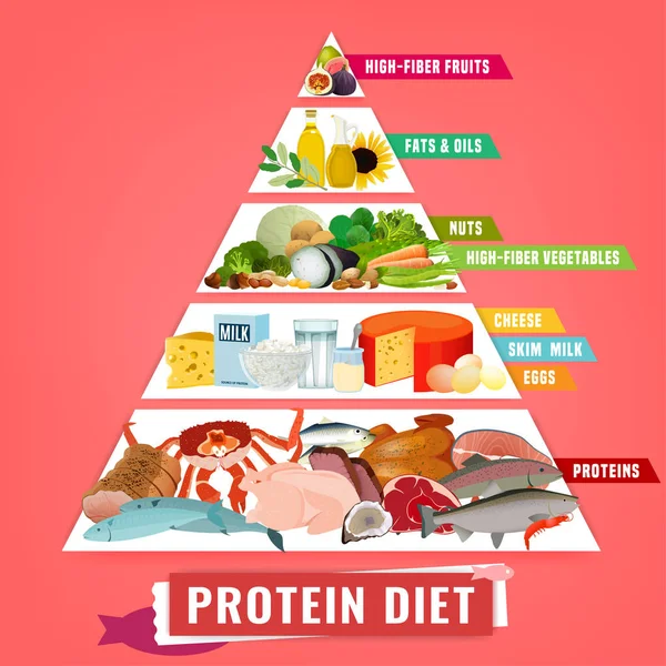 Cartel de dieta alta en proteínas — Vector de stock