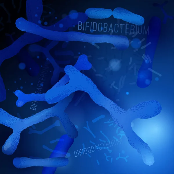 Bifidobacterium horizontale afbeelding — Stockvector