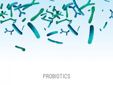 Lactobacillus Probiyotik Arka Plan
