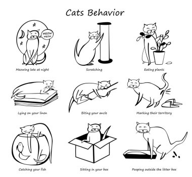 Cat Behavior Set clipart
