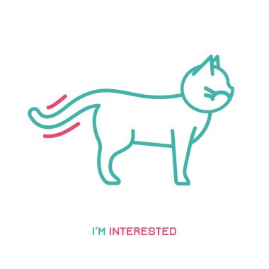 Kedi Davranışı Simgesi