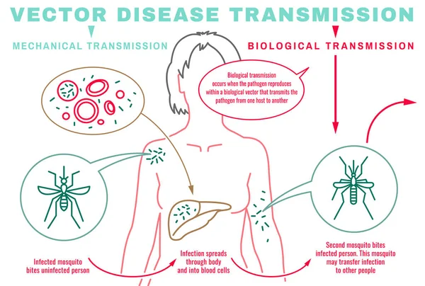 Transmisión de enfermedades infecciosas — Archivo Imágenes Vectoriales