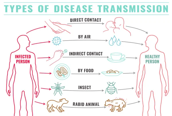 Tipos de transmisión de enfermedades-12 — Vector de stock