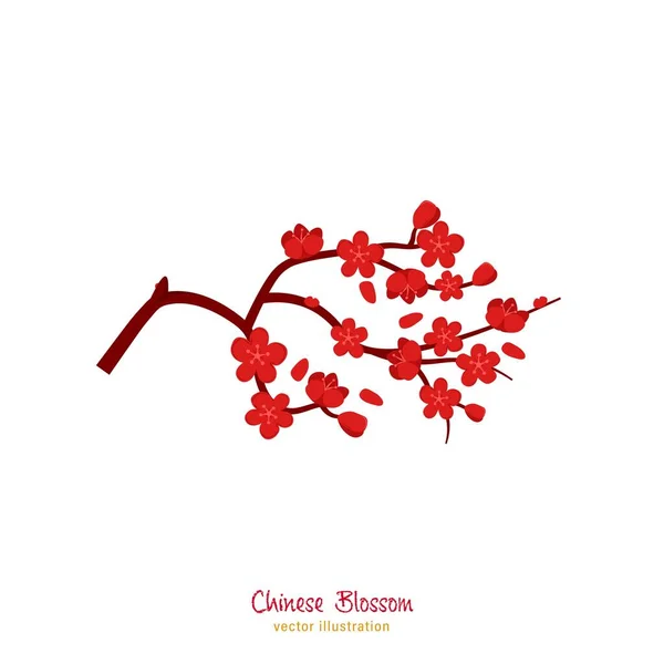 Chinesische Blütenpflaume — Stockvektor
