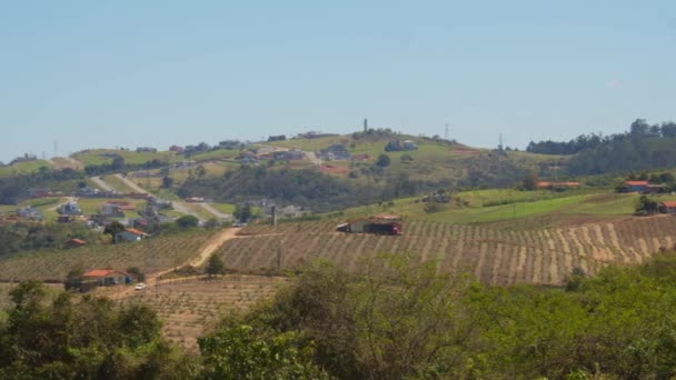 Daleki Widok Proste Małe Gospodarstwa Rolne Wzgórzach Brazylii Podzielone Polnymi — Wideo stockowe