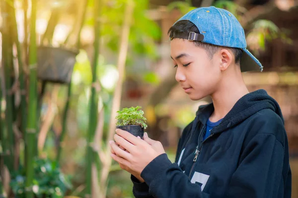 Młody Azjatycki Licealista Wykorzystuje Wakacje Sadzenia Drzew Ogrodnictwa Aby Dobrze — Zdjęcie stockowe