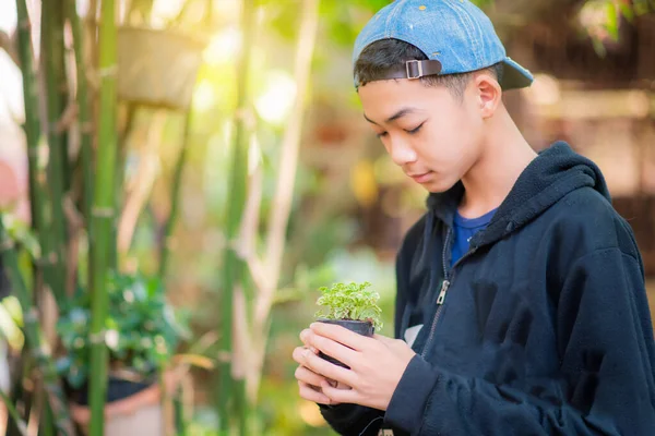 Młody Azjatycki Licealista Wykorzystuje Wakacje Sadzenia Drzew Ogrodnictwa Aby Dobrze — Zdjęcie stockowe