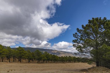 Dağlar, ağaçlar, taş ve gökyüzü