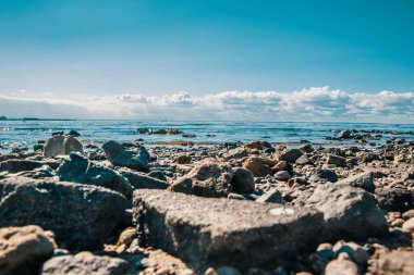 Baltık Körfezi. Kumsal. Taşlar.