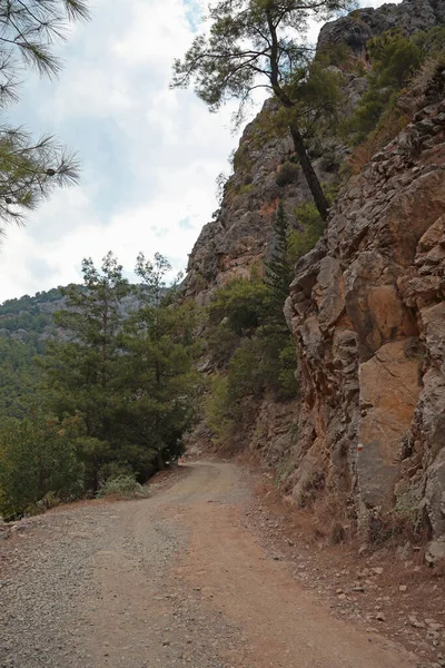 Goynuk Parkı. Hindi. Kemer. Dağ yolu