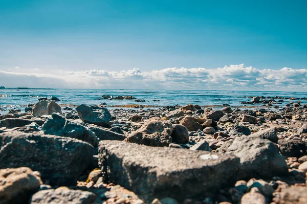 Baltık Körfezi. Kumsal. Taşlar.