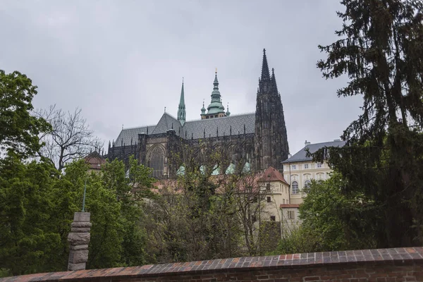 聖ヴィタス大聖堂のプラハ ロイヤリティフリーのストック写真