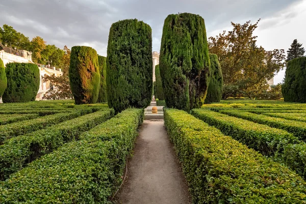 Ciprés y arbustos en un jardín cerca del Palacio Real de Madrid, España — Foto de Stock