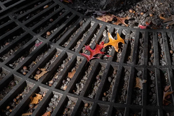 Herfst esdoorn loof op een metalen rooster in een stad. — Stockfoto